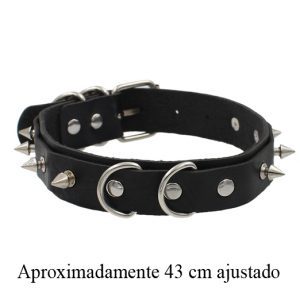 Collar pequeño de Pinchos
